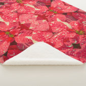 Rote Pflanze Poinsettia Blume Sherpadecke (3/4)