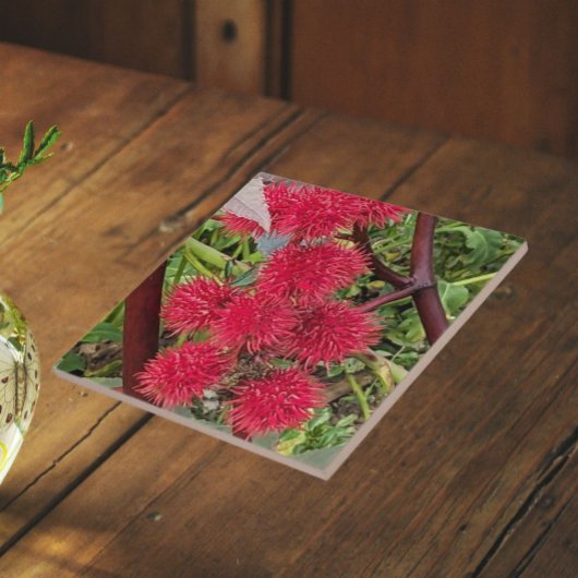 Rote Pflanze von Castor Bean Fliese