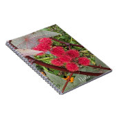 Rote Pflanze von Castor Bean Notizblock (Rechte Seite)