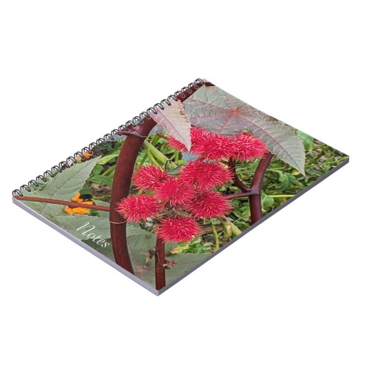 Rote Pflanze von Castor Bean Notizblock (Linke Seite)