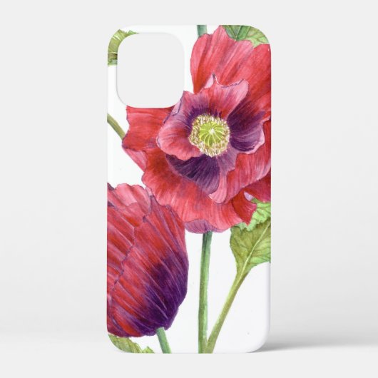 Rote Pflaumen Case-Mate iPhone Hülle (Rückseite)