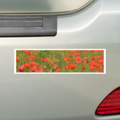 Rote Pflaumen im Feld Autoaufkleber (Auf Auto)
