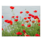 Rote Pflaumen im Foto Print (Vorne)