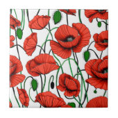 Rote Pflaumen in einem Feld auf Weiß Fliese (Vorderseite)