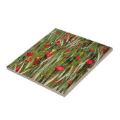 Rote Pflaumen in einem Rollfeld Fliese (Seite)