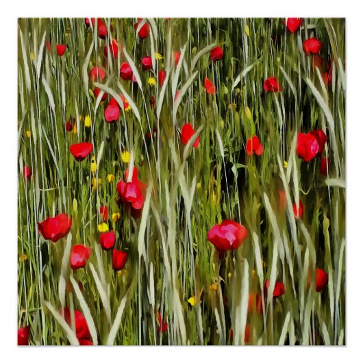 Rote Pflaumen in einem Rollfeld Poster (Vorderseite)