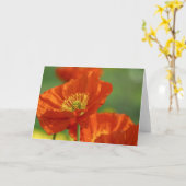 Rote Pflaumen Karte (Gelbe Blume)