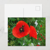Rote Pflaumen mit Bienenunterricht Postkarte (Vorne/Hinten)
