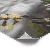 Rote Pflaumen Poster (Ecke)