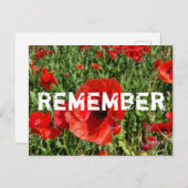 Rote Pflaumen Postkarte (Vorne/Hinten)