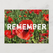 Rote Pflaumen Postkarte (Vorderseite)