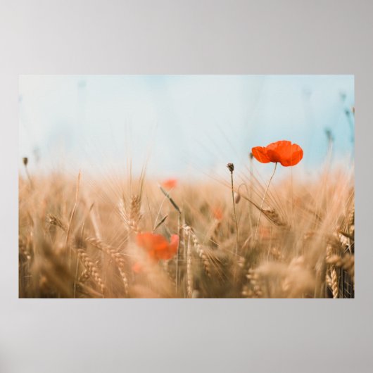 Rote Pflaumen und Goldgerste Poster (Vorne)