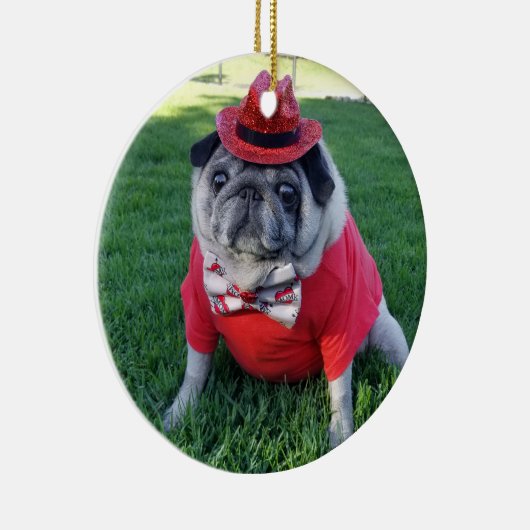 Rote Pickles Ornament (Rechts)