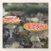 Rote Pilze Glasuntersetzer (Vorderseite)