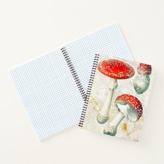 Rote Pilze murel verblassten beängstigenden Hinter Notizblock (Innenseite)