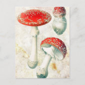 Rote Pilze murel verblassten beängstigenden Hinter Postkarte (Vorderseite)