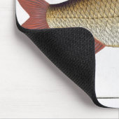 Rote Platte I des Karpfens (Cyprinus Mousepad (Ecke)