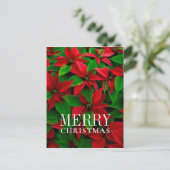 Rote Poinsettia Blume Feiertagspostkarte (Stehend Vorderseite)