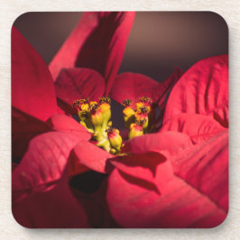 Rote Poinsettia Weihnachtsstern-Blume Getränkeuntersetzer
