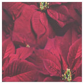 Rote Poinsettias Stoff (Nahaufnahme)