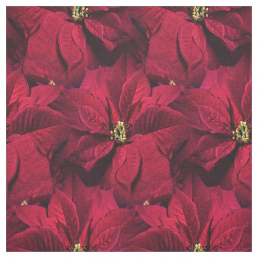Rote Poinsettias Stoff (Muster)