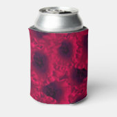 Rote Poppione Dosenkühler (Kanne Rückseite)