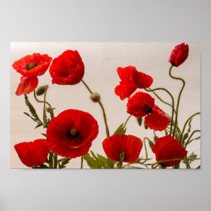 Rote Poppione Poster