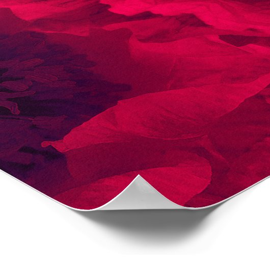 Rote Poppione Poster (Ecke)