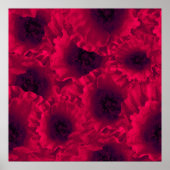 Rote Poppione Poster (Vorne)
