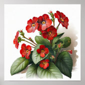Rote Primrose Blume Art Print Poster (Vorne)