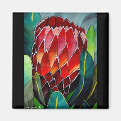 Rote Protea Aquarellfarben Blume Originale Kunst Magnet (Vorne)