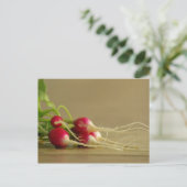 Rote Radieschen Postcard Postkarte (Stehend Vorderseite)