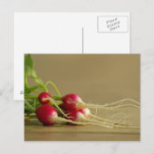 Rote Radieschen Postcard Postkarte (Vorne/Hinten)