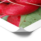 Rote Radieschen Poster (Ecke)
