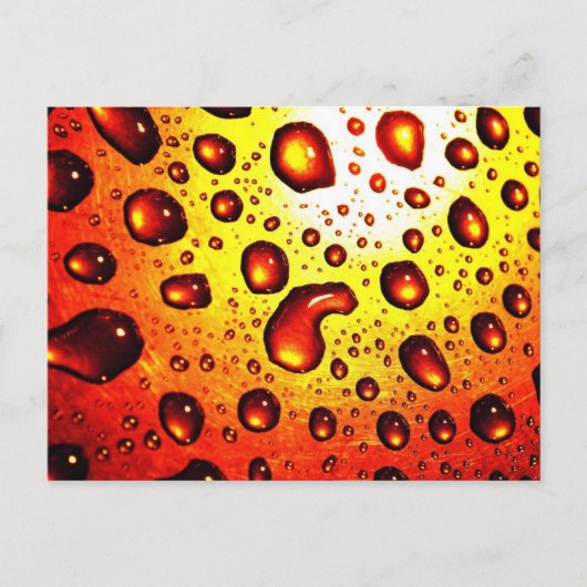 Rote Regentropfen Postkarte (Vorderseite)
