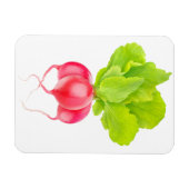 Rote Rettiche Magnet (Horizontal)