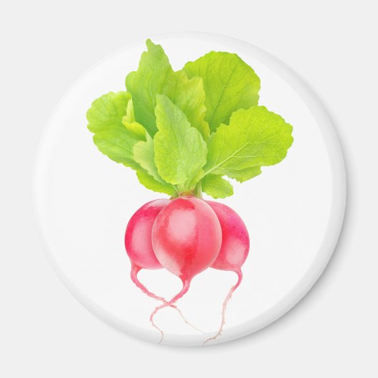 Rote Rettiche Magnet (Vorne)