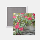 Rote Rhododendren Magnet (Vorderseite/Rückseite)