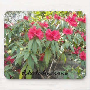 Rote Rhododendren Mousepad