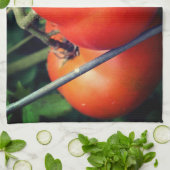 Rote Rippengärnten Geschirrtuch (Gefaltet)