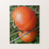 Rote Rippengärttomaten auf der Weinnatur Puzzle (Vertikal)