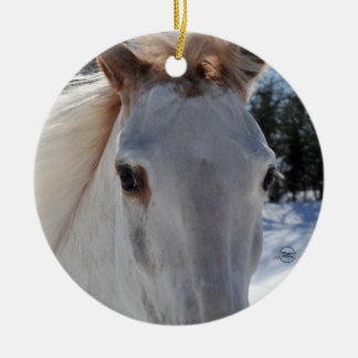 Rote Roan Pferdeaugen Keramikornament
