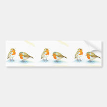 Rote Robins im Winter