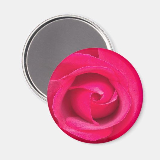 Rote Rosa Rose Magnet (Vorderseite/Rückseite)
