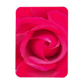 Rote Rosa Rose Magnet (Vertikal)