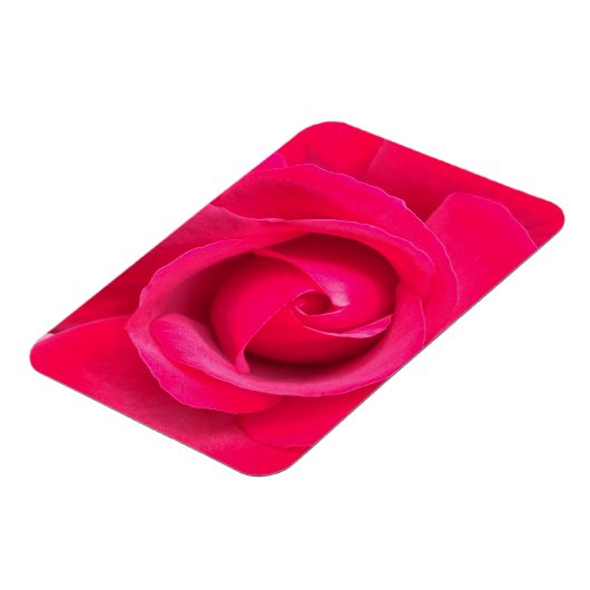 Rote Rosa Rose Magnet (Linke Seite)