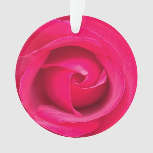 Rote Rosa Rose Ornament (Vorderseite)