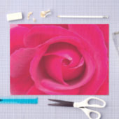 Rote Rosa Rose Seidenpapier (Handwerk)