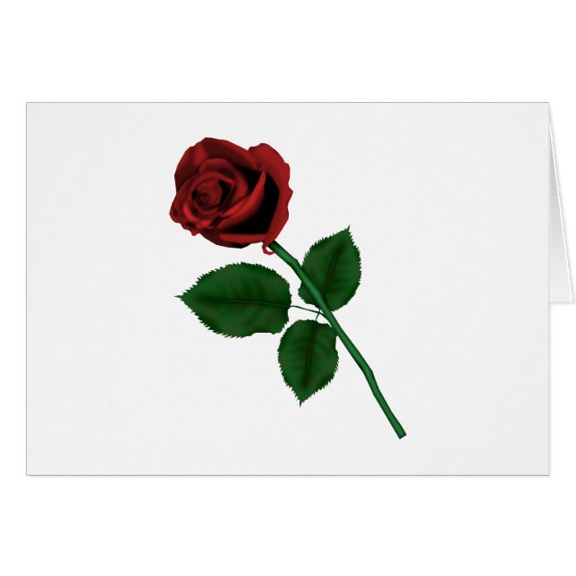 Rote Rose (Vorderseite (Horizontal))