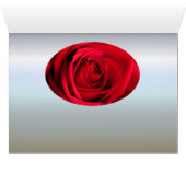 Rote Rose (Innenansicht Horizontal (Unten))